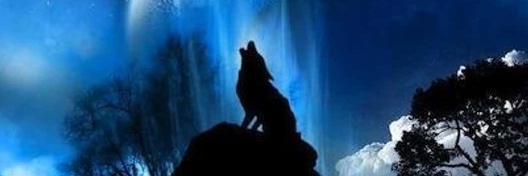_ople_'s profile banner image