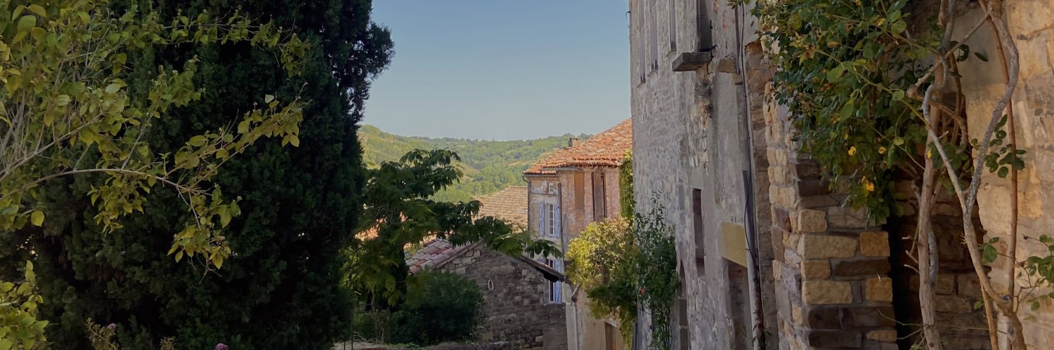 leamnnr's profile banner image