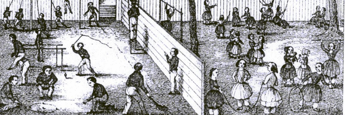 Dr. Rebecca Noel banner