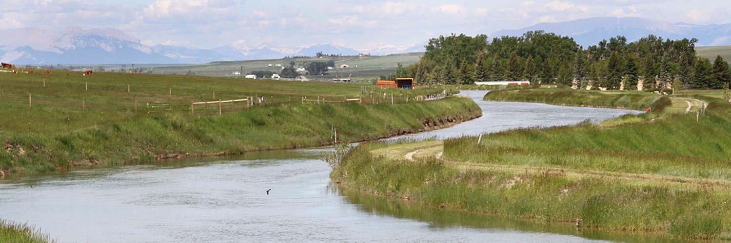 SweetgrassDev banner