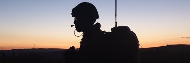 2 Signal Regiment banner