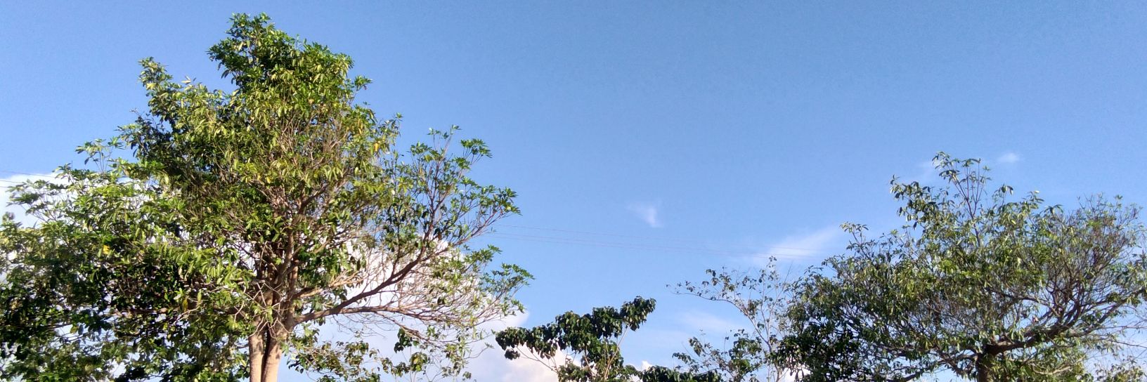 alfiasudarsono's profile banner image