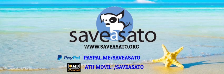 saveasato's profile banner image