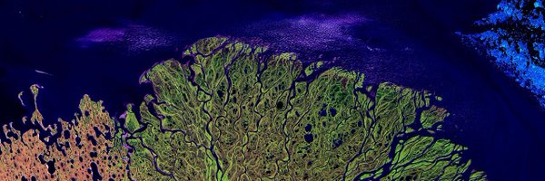 RobGMacfarlane Profile Banner