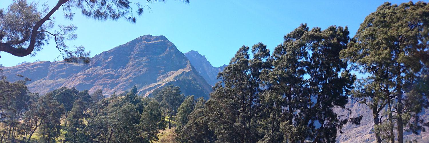 MaungAgus's profile banner image