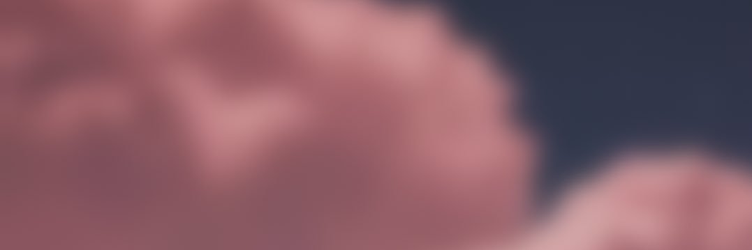 Feer_Vi's profile banner image