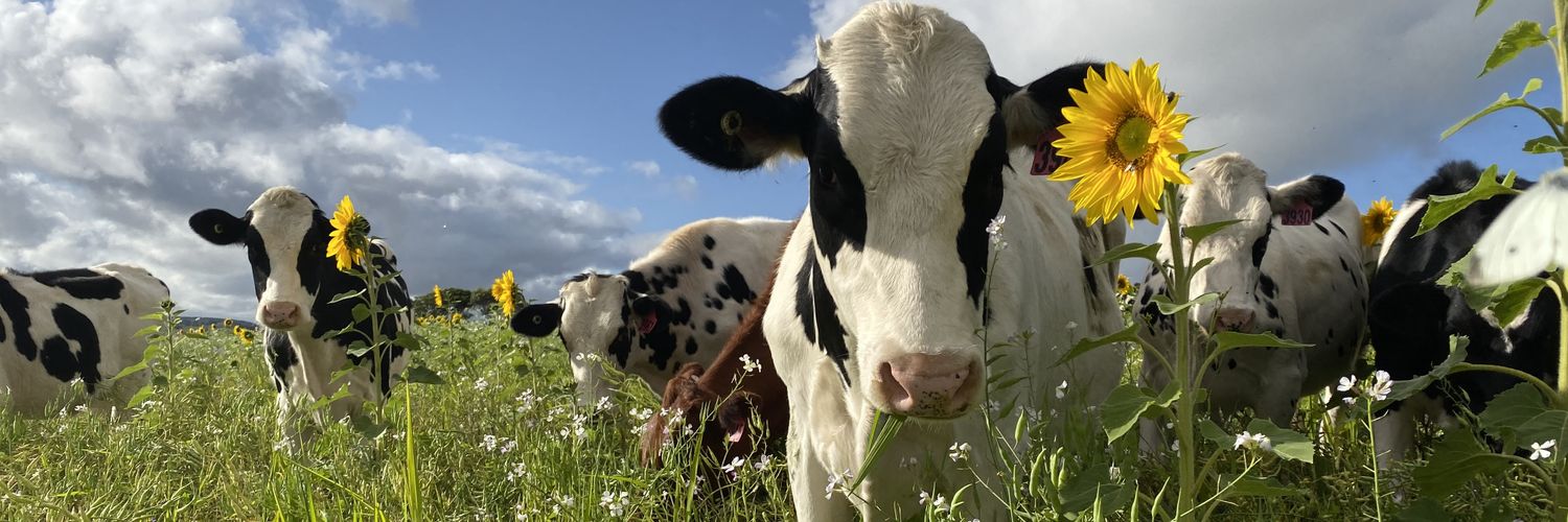 Aus Cover Cropping banner