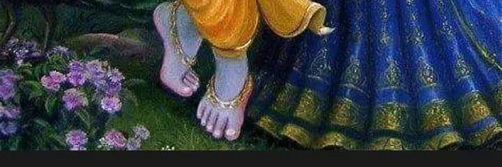 ashna1729's profile banner image