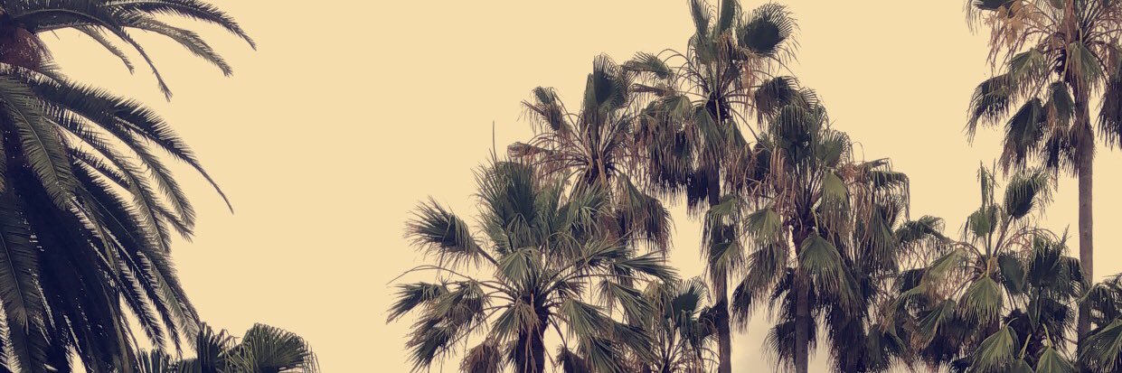 holbol__'s profile banner image