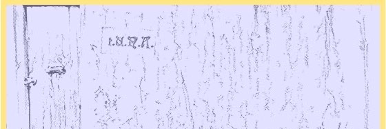 0xNeil's banner