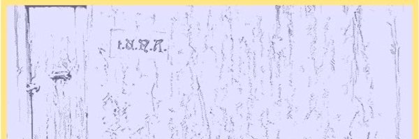 0xNeil Profile Banner