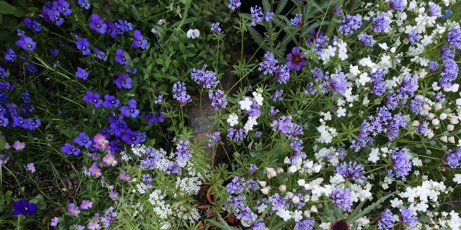 岩下みどり banner