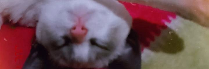 TavarMiranda's profile banner image