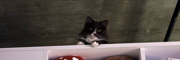 Mooshies_ Profile Banner