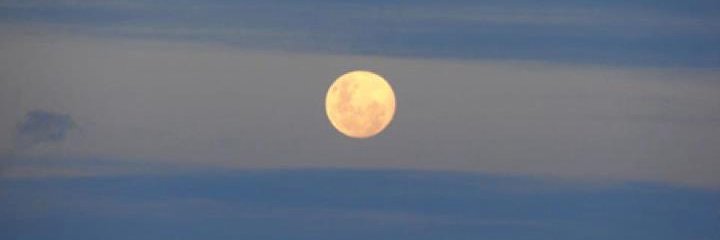 DrSmartHung's profile banner image
