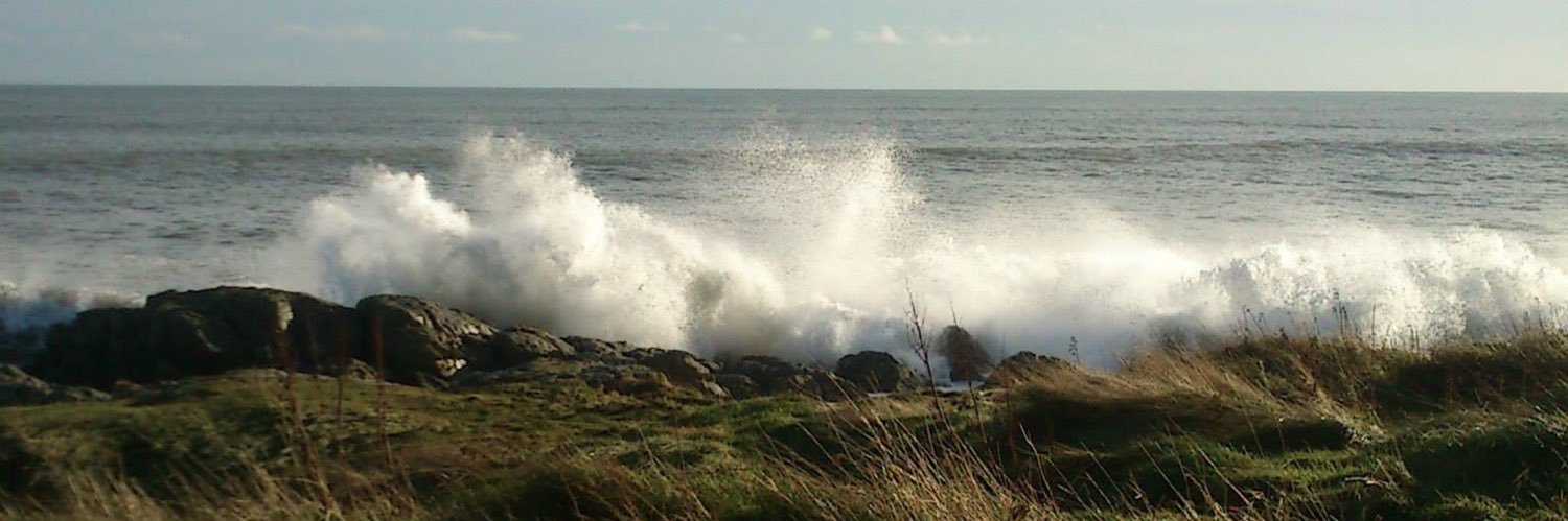 Ariany231 🐾 ☕️📖🎮🧶 🇩🇰 banner