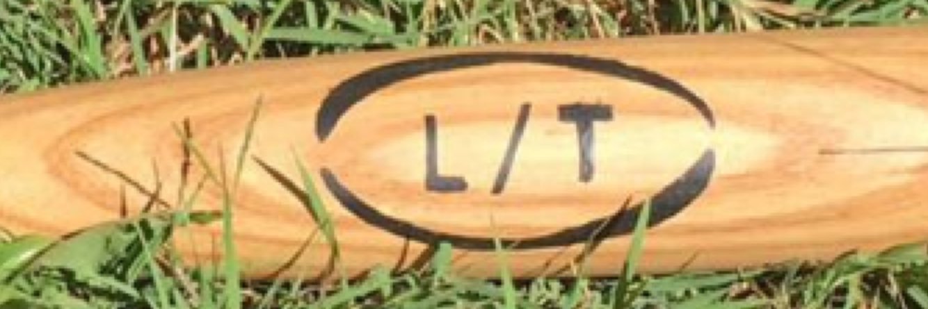 Dream Big Baseball banner