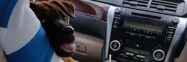 AnTirrVigill Profile Banner