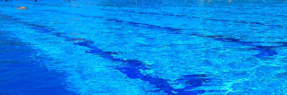 MilojeOrlovi's profile banner image