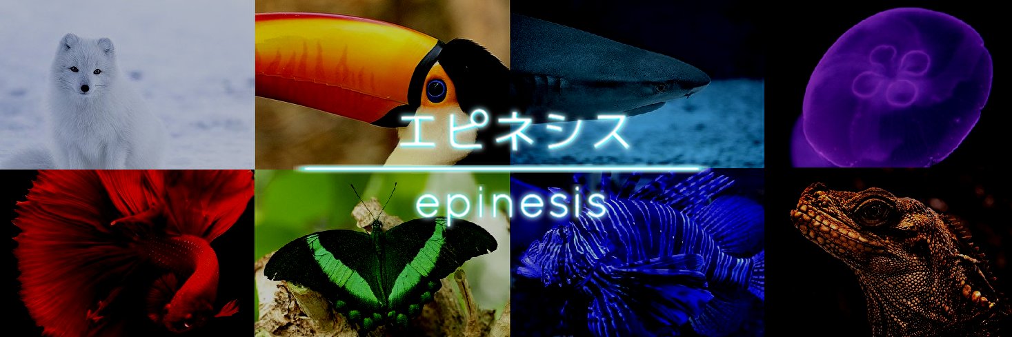 エピネシス banner