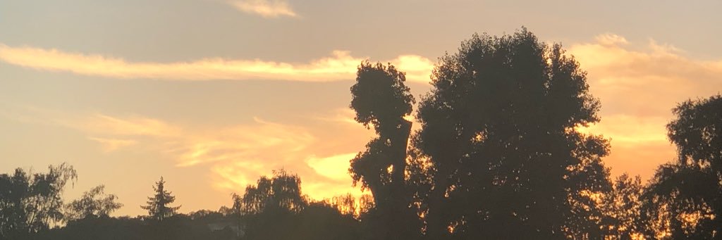 sarah6613's profile banner image