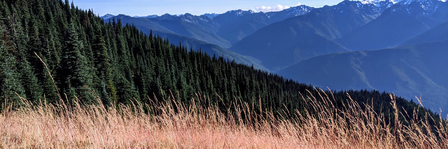 craig_danton's profile banner image