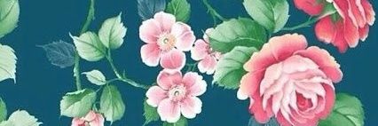 Sarah banner