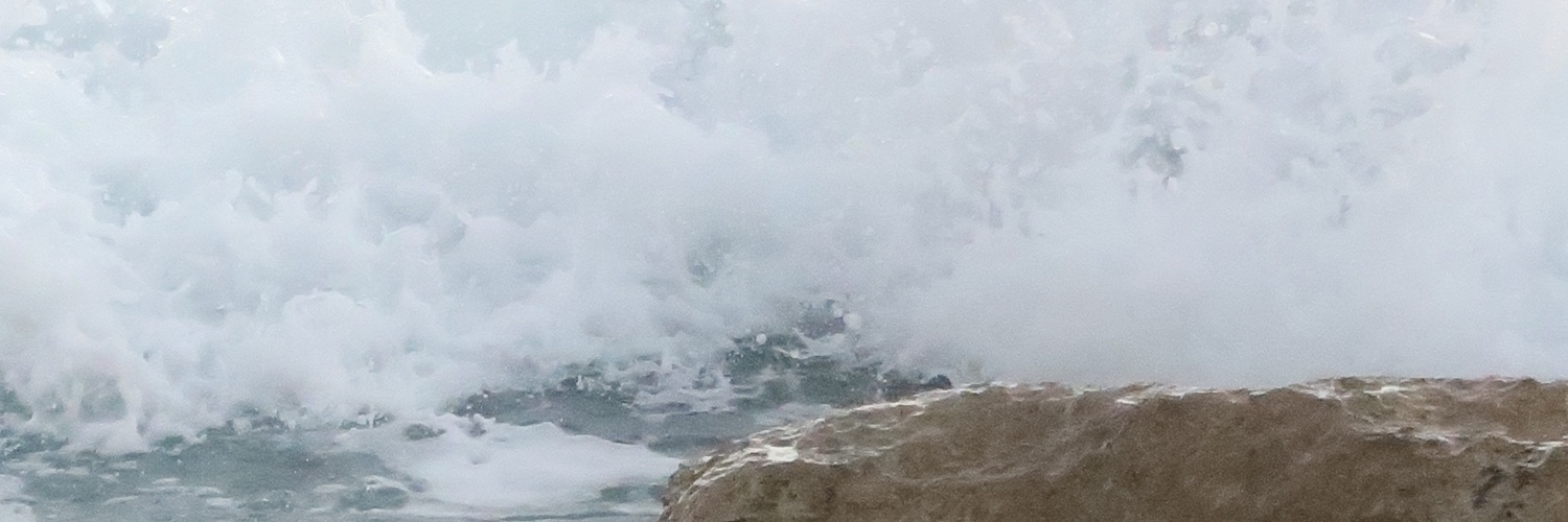 celdjo's profile banner image