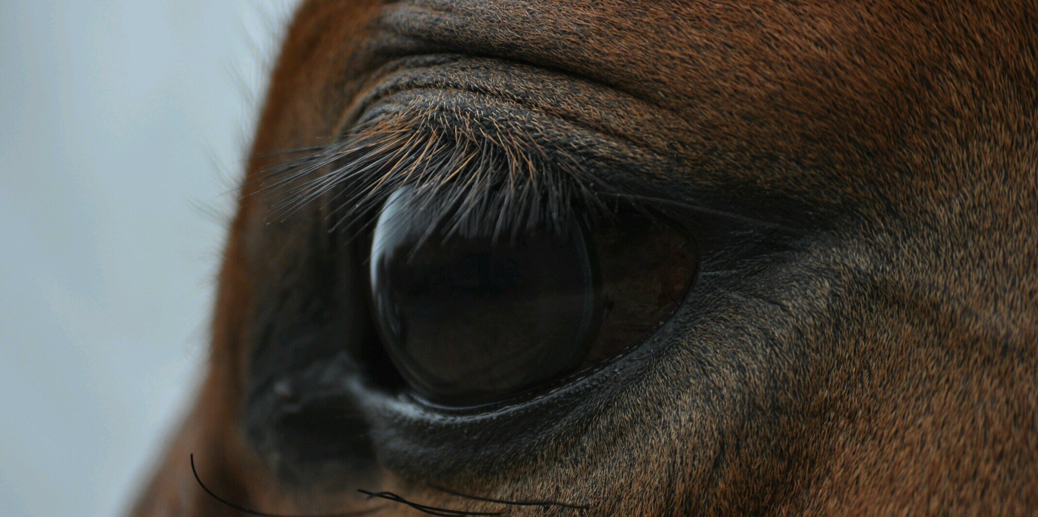 VervJ's profile banner image