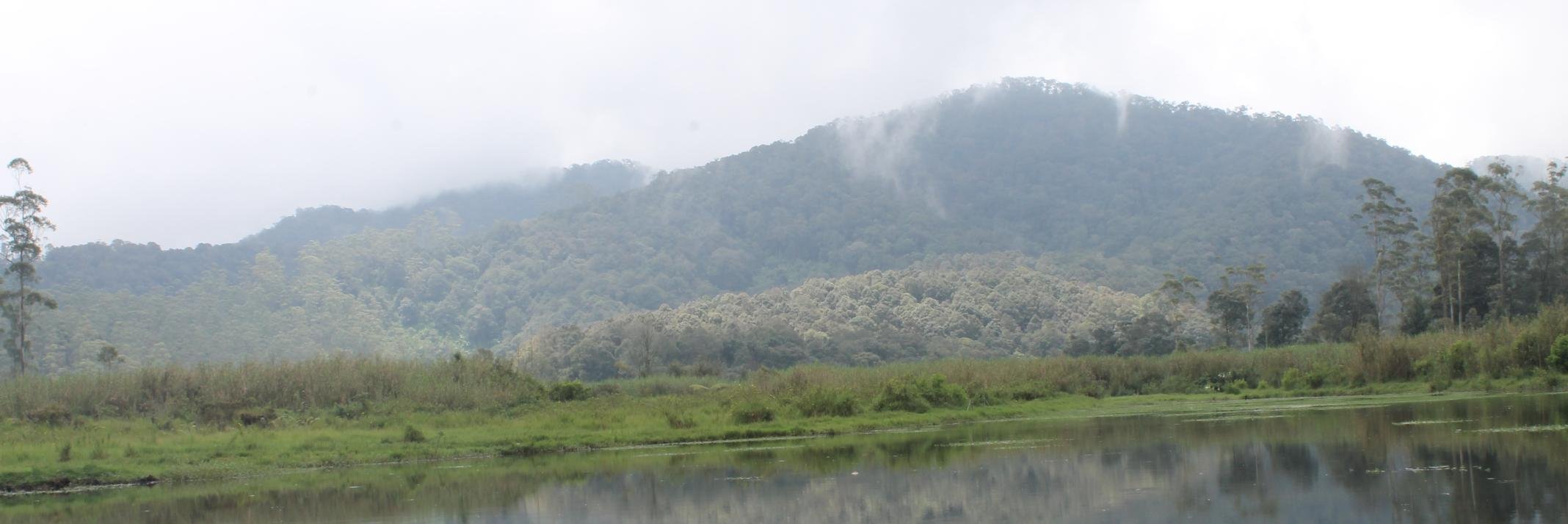 firsayud's profile banner image