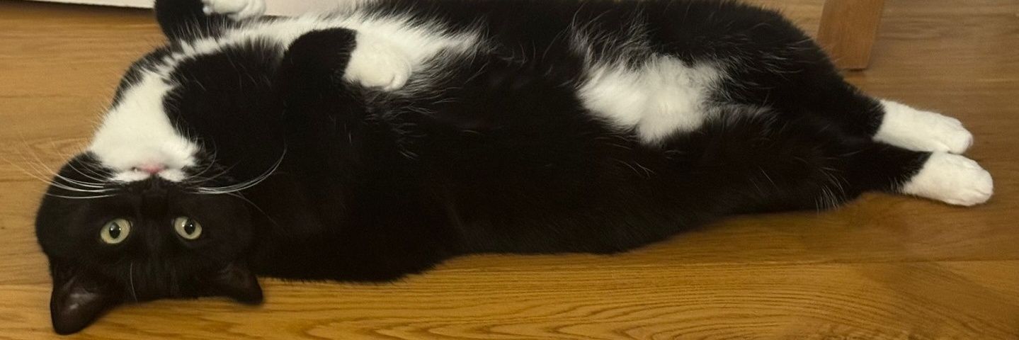 medium-sized mel banner