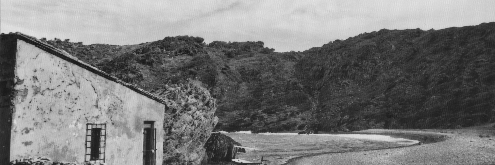 PolTorrent's profile banner image