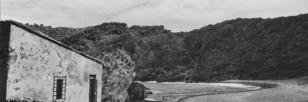 PolTorrent Profile Banner