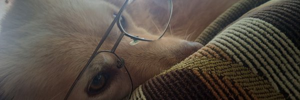 GaboLightCR Profile Banner