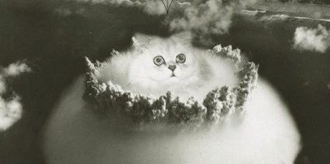 mustachesbear's profile banner image
