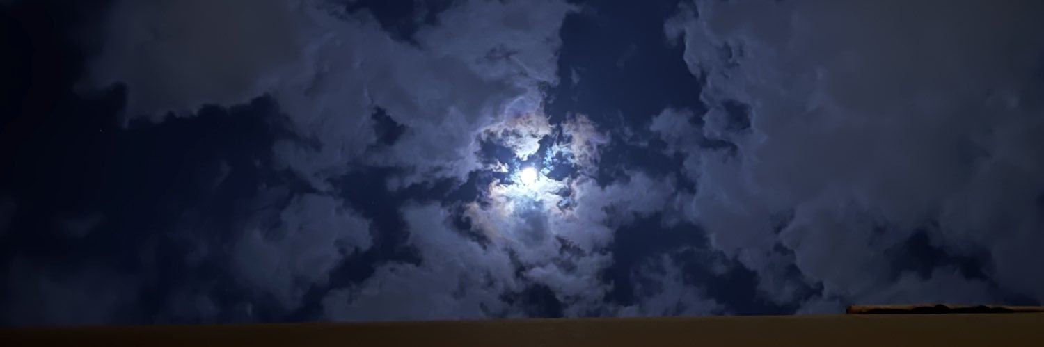 xjashu's profile banner image