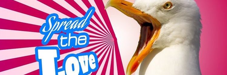 Laurie Diricq banner