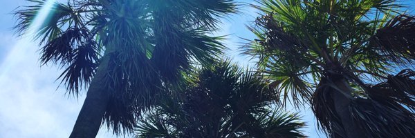 avinashgosain's profile banner image