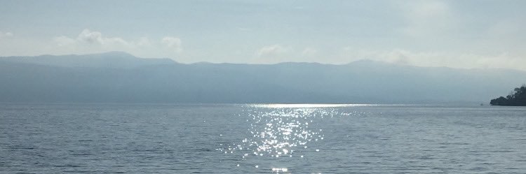 afralzena_'s profile banner image