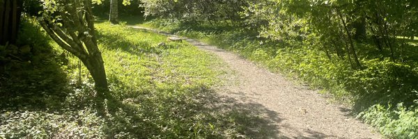 JohanLif Profile Banner