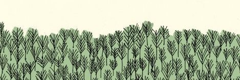 aycaorer's profile banner image