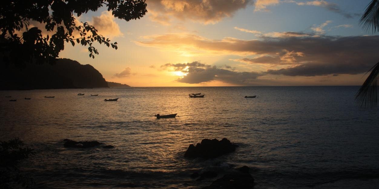 CamilleKandikoHowson banner