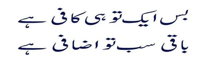 حقیقت پسند banner