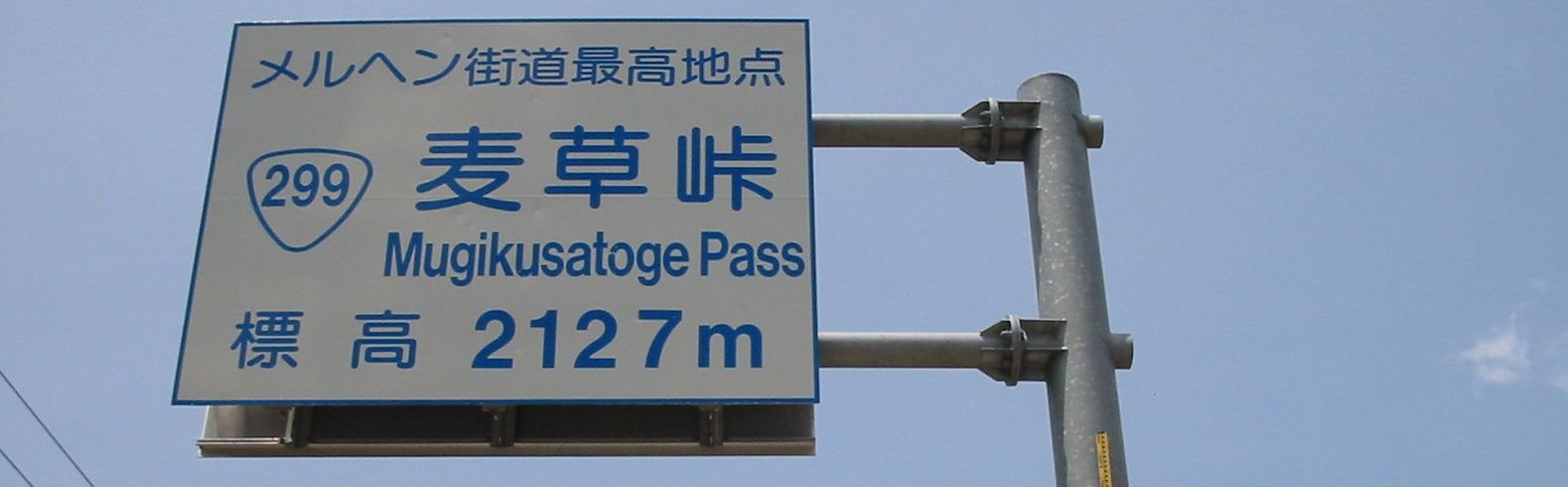 むねりん（烏賊） banner