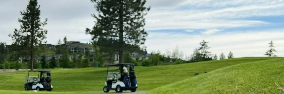 luklukss's profile banner image