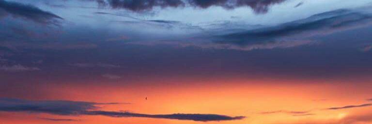 munikO_o's profile banner image