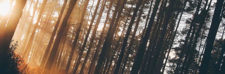 きゃらめる banner