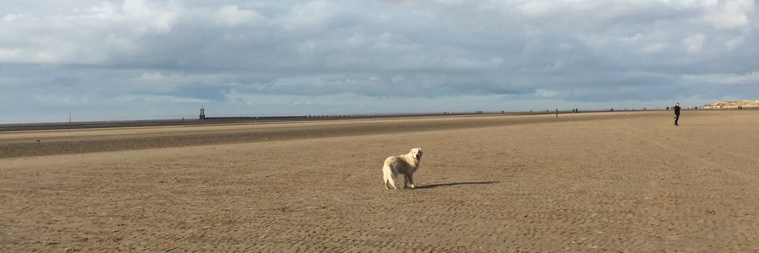 TheRigbyBone's profile banner image