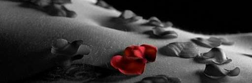 llauramota's profile banner image