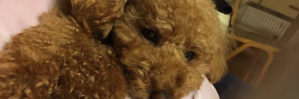 r__cold's profile banner image
